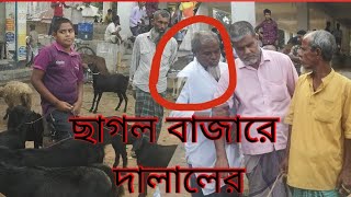 নরসিংদী || জেলা শিবপুর || থানা ছাগলের হাট বসে || শুক্রবার | মঙ্গলবার কম টাকায়  ছাগল পাওয়া যায়