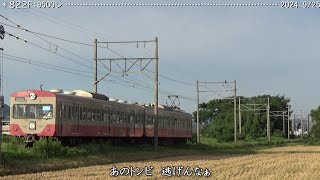 近江鉄道日記　805Ｆ＆822Ｆ糠塚　（2024.9/25）　　　　　　　　巛巛