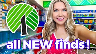 34 Things you SHOULD Be Buying at Dollar Tree...NEW PRODUCTS!
