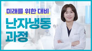 난자냉동 과정, 어떻게 진행될까?