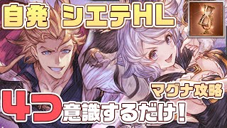 【#グラブル】自発用 シエテHL 4つ意識するだけ！黒猫道士 無課金マグナ 青箱 サテュロスあり パーシヴァルなし【刻の流砂】/ Seofon Omega [#GBF]