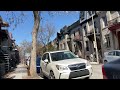 walking on hôtel de ville street in montreal