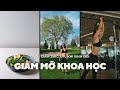 Cách Giảm 25 Kg Sau Khi Sinh Đôi Của Huyền Ny I Giảm Mỡ Khoa Học