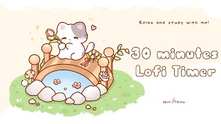 30 minutes - Relax \u0026 study with me Lofi | Cat on bridge #timer #30minutetimer #lofi #relaxing #30min