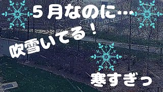 122 【雪降った】寒すぎるぞ！5月9日｜春なのに・・・