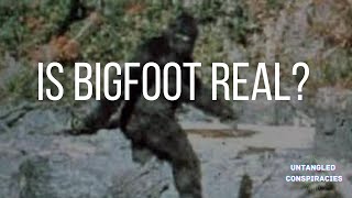 Bigfoot | Untangled Conspiracies