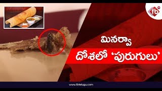 Insect in Masala Dosa | మినర్వా దోశలో పురుగులు | FB TV