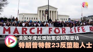 美国年度反堕胎集会如期登场 特朗普特赦23反堕胎人士