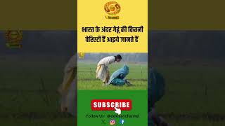 Bharat Ki Farm Lady | भारत के अंदर गेहूं की कितनी वेरिएटी हैं आइये जानते हैं | Farmer | DD Kisan