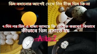 ডিম বসানোর আগেই দেখে নিন ডিম থেকে বাচ্চা হবে কি না? বীজ ডিম চেনার উপায়।@SanjidaAgro