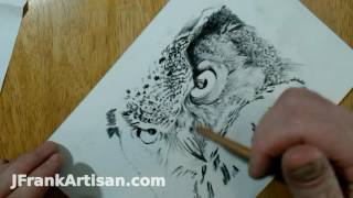 Eagle Owl Time Lapse Drawing in Carbon Pencil