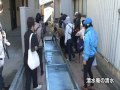 富山湾水中映像　vol．56　生地の清水