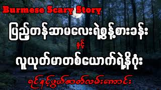 ပြည့်တန်ဆာမလေးရဲ့စွန့်စားခန်းနှင့်လူယုတ်မာတစ်ယောက်ရဲ့နိဂုံး