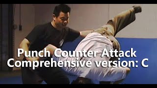 Punch Counter Attack Comprehensive version.C #foryou#SelfDefense#Gongfu#Qinna