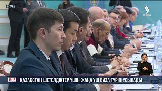 Қазақстан шетелдіктер үшін жаңа үш виза түрін ұсынады | Jibek Joly news