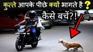 क्या करें जब कोई कुत्ता आपके पीछे भागने लगे|WHAT TO DO WHEN A DOG STARTS TO CHASE YOU!