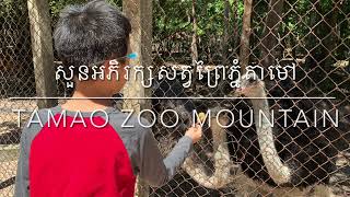 Tamao Mountain Zoo, Cambodia | សួនសត្វភ្នំតាមៅ ខេត្តតាកែវ