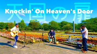 Knockin' On Heaven's Door / Bob Dylan (cover) 天国の扉　ボブディラン　acoustic guitar, cajon \u0026 blues harmonica