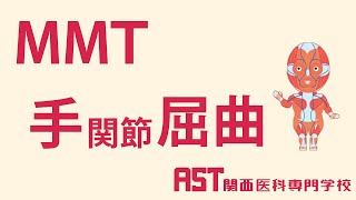 【関西医科専門学校】MMT手関節屈曲