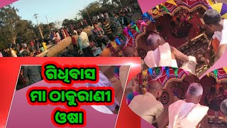 ଗିଧିବାସ ଗ୍ରାମ ରେ ମା ଠାକୁରାଣୀ ଓଷା \u0026\u0026 Baitarani Khabor YouTube video Odisha