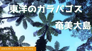 奄美大島 Vlog. 手つかずの楽園 ひとり旅 (JAPAN TRAVEL)