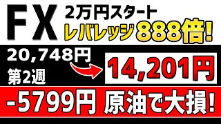 【レバレッジ888倍】FXで2万円から最高レバレッジで1000万円目指します※FXキングのリアルトレード第二週