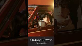#ENHYPEN ORANGE BLOOD Preview 'Orange Flower (You Complete Me)'