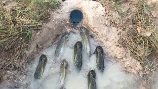 Believe This Fishing? Unique Fish Trapping System | New 2018 Technique Of Catching Country Fish