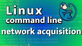 LCL 26 - Network acquisition - Linux Command Line tutorial for forensics