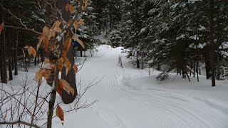 Nouveaux sentiers pour la randonnée au Parc Éco Laurentides