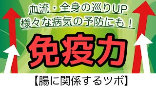 【免疫力アップ】スゴ腕！鍼灸師GORIオススメ★血流・全身の巡りUP、様々な病気の予防にも！【腸に関係するツボ】