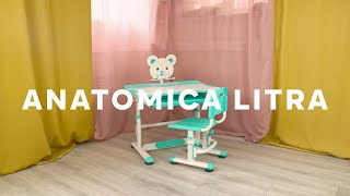 Растущий детский эргономичный комплект (парта и стул) Anatomica Litra