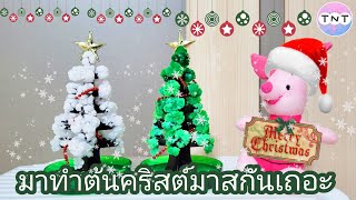 Ep.35  | มาทำต้นคริสต์มาส (DIY : Christmas Trees) ต้อนรับเทศกาลแห่งความสุขกัน | Merry Christmas