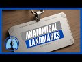 Identifying Anatomical Landmarks of the Body