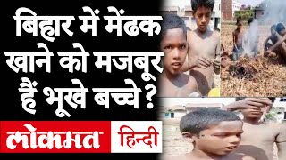 क्या Bihar के Jahanabad में Lockdown के दौरान मेंढक खा रहे हैं बच्चे? जानें Viral Video का सच