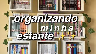 organizando minha estante📚| FINALMENTE TENHO UMAAA🥳🥳🥳