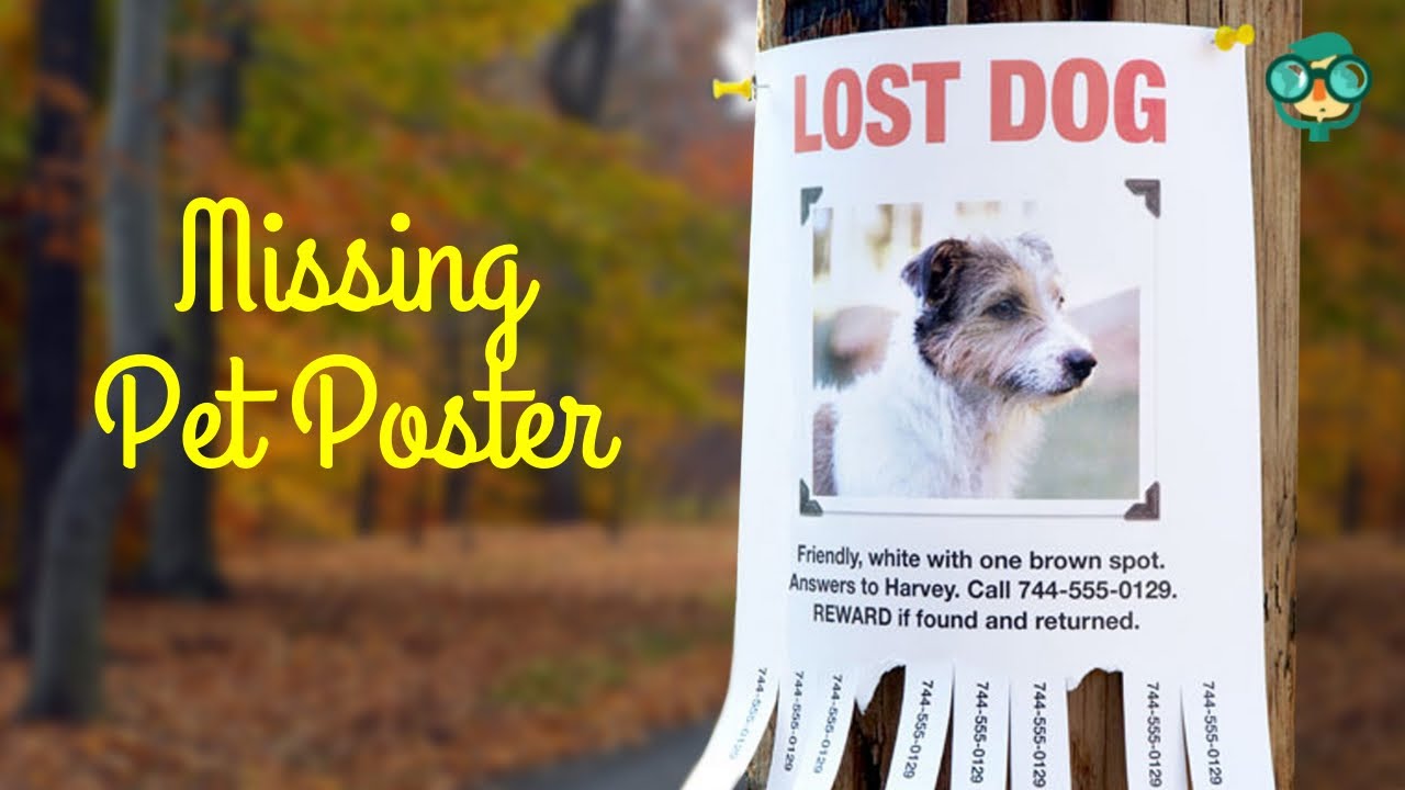 Missing Dog Poster