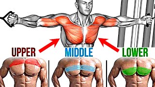 How to Build A Massive Chest (14 Best Chest Exercises You Should Be Doing)
