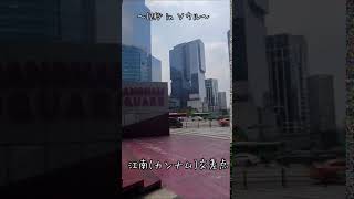 GANGNAM SQUARE 〜12秒 in ソウル〜江南(カンナム)交差点