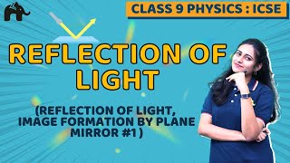 Reflection of light Class 9 ICSE Physics Chapter 7 | Image formation by plane mirror #1