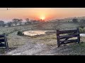 Na roça tem simplicidade e a beleza da natureza ao amanhecer e ao escurecer…