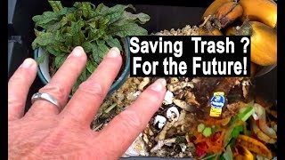 Storing Kitchen Scraps for Compost Dump and Save or Plant No Turn composting for a Great Garden