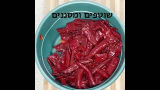 אריסה טוניסאית מסורתית - מתכון פשוט מהיר וקל