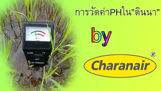 การวัดค่าPHใน\