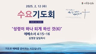 2025. 2. 12 (수) 사랑충성교회 수요기도회 ㅣ에베소서 4:15~16ㅣ성령이 하나 도게 하신 것(6)ㅣ김영창 담임목사