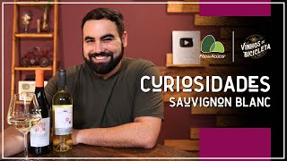 SAUVIGNON BLANC WINE AND ITS CURIOSITIES