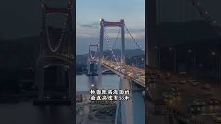 亚洲第一的海沧大桥为啥那么牛 #基建狂魔