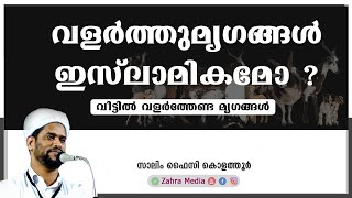 വീട്ടിൽ വളർത്താൻ പറ്റുന്ന  മൃഗങ്ങൾ | ഉസ്താദ് ഡോ.സാലിം ഫൈസി കൊളത്തൂർ | Malayalam Islamic Speech