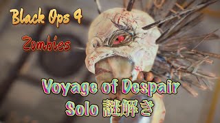 Voyage of Despair ソロ 謎解き [COD bo4ゾンビ]