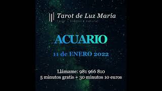 Horóscopo de hoy | 11 de Enero | Acuario | Tarot de Luz María
